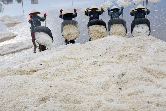 Ảnh thu hoạch muối ở Hòn Khói được đăng trên báo The Diplomat