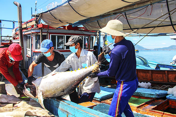 Vạn Ninh: Tăng cường công tác chống khai thác IUU