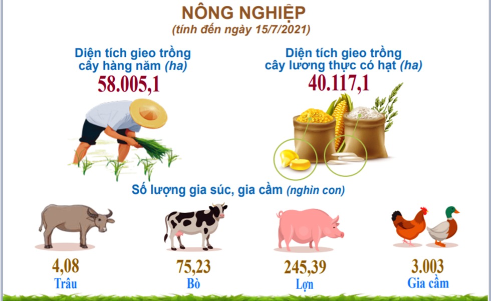 Khánh Hòa: Kinh tế xã hội tiếp tục bị ảnh hưởng do dịch Covid-19
