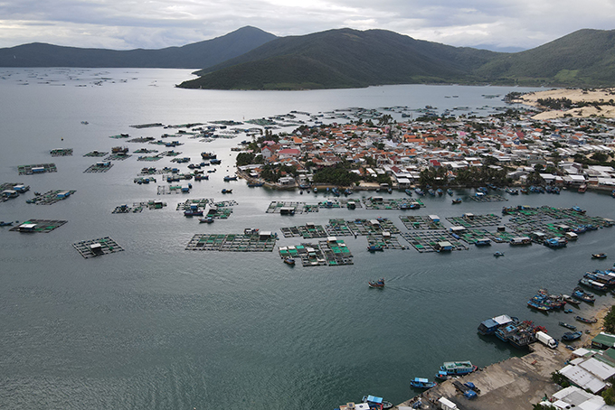 VIDEO: Nỗ lực tìm giải pháp hỗ trợ người nuôi trồng thủy sản sớm tiêu thụ sản phẩm