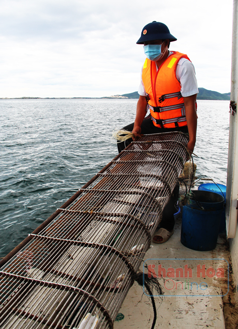 Truy quét tàu giã cào