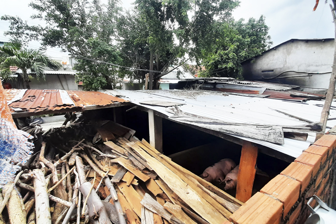 Nhiều năm nay, người dân ở xã Ninh Sim (thị xã Ninh Hòa) liên tục phản ánh về tình trạng các cơ sở giết mổ gia súc trong khu dân cư gây ô nhiễm môi trường. Phòng Tài nguyên và Môi trường (TN-MT) thị xã đã tiến hành kiểm tra và yêu cầu các chủ cơ sở thực hiện nghiêm các quy định bảo vệ môi trường (BVMT).