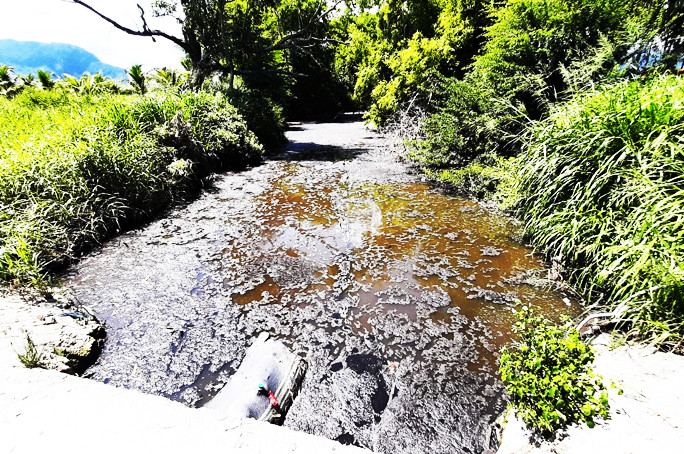 Dòng suối chảy qua thôn Quảng Hòa và  Quảng Phúc ô nhiễm nghiêm trọng.