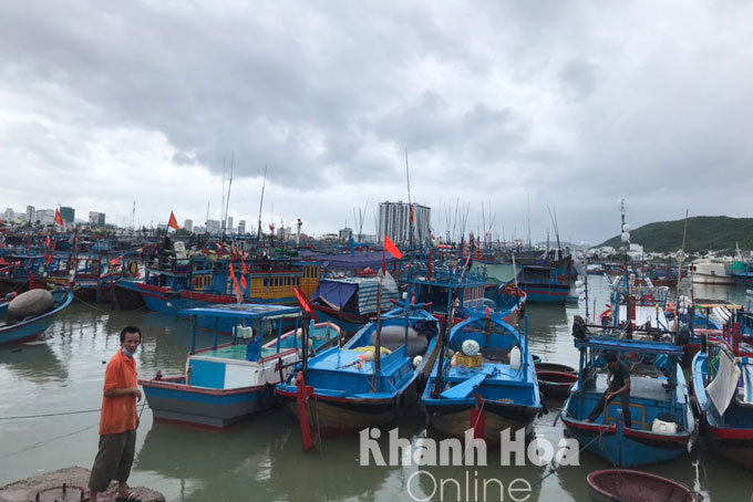 Người dân neo tàu thuyền tránh bão tại Hòn Rớ, Phước Đồng, Nha Trang.
