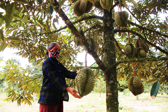 Khánh Sơn tập trung nguồn lực xây dựng nông thôn mới