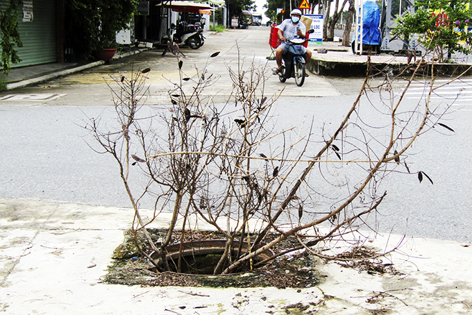 Hố giữa đường nguy hiểm