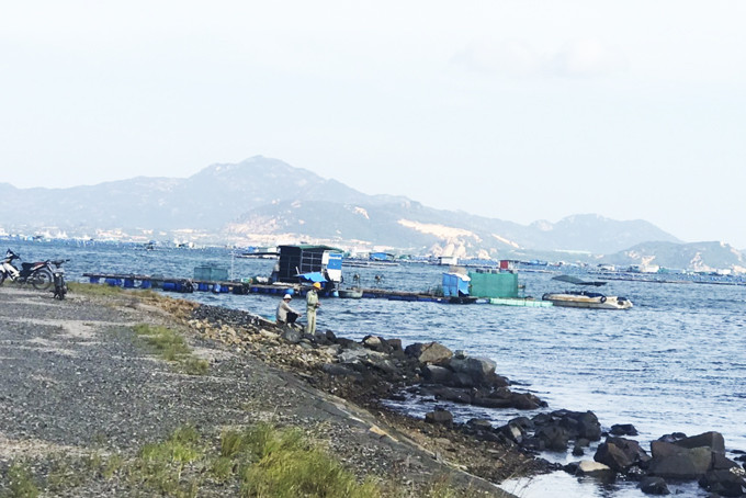 Hai bè nuôi thủy sản lấn chiếm khu neo đậu tàu thuyền cảng Ba Ngòi. 