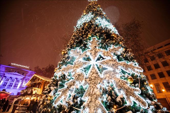 Cây thông Noel được trang hoàng rực rỡ tại chợ Giáng sinh ở Poznan, Ba Lan, ngày 24/12/2021. Ảnh: PAP/TTXVN