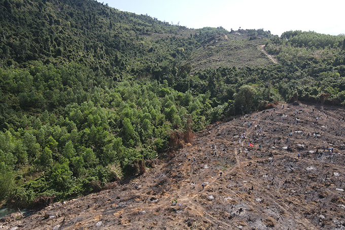 Hội nghị về quản lý đất đai có nguồn gốc từ các nông, lâm trường quốc doanh