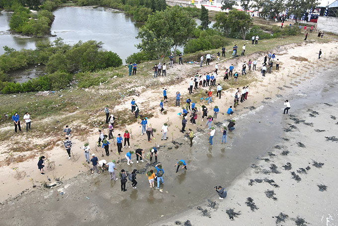 Năm 2022, các trường học trồng gần 1 triệu cây xanh