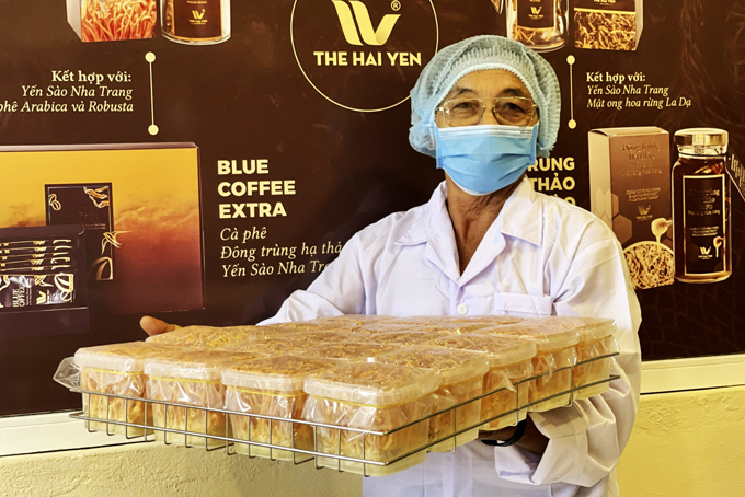 Từ yến sào đến đông trùng hạ thảo "made in Nha Trang": Giấc mơ thành hiện thực