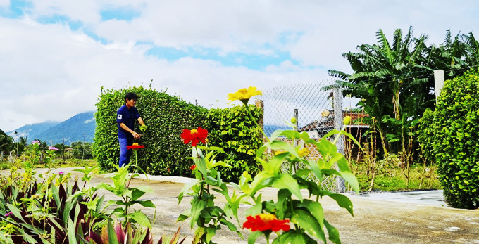 Phong cảnh phía trước nhà ông Nguyễn Long rất đẹp mắt với hàng rào xanh và nhiều loại hoa khoe sắc.