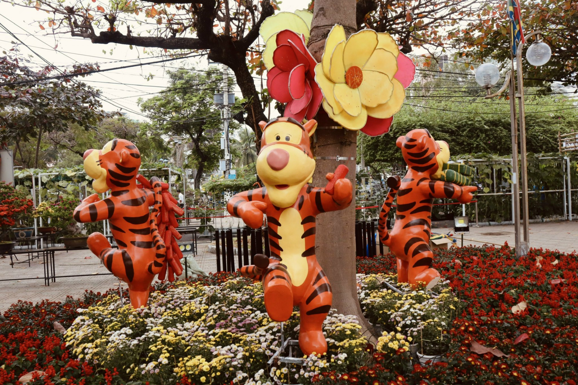 Đàn hổ con tinh nghịch ở Hội hoa Xuân Nha Trang - Khánh Hòa