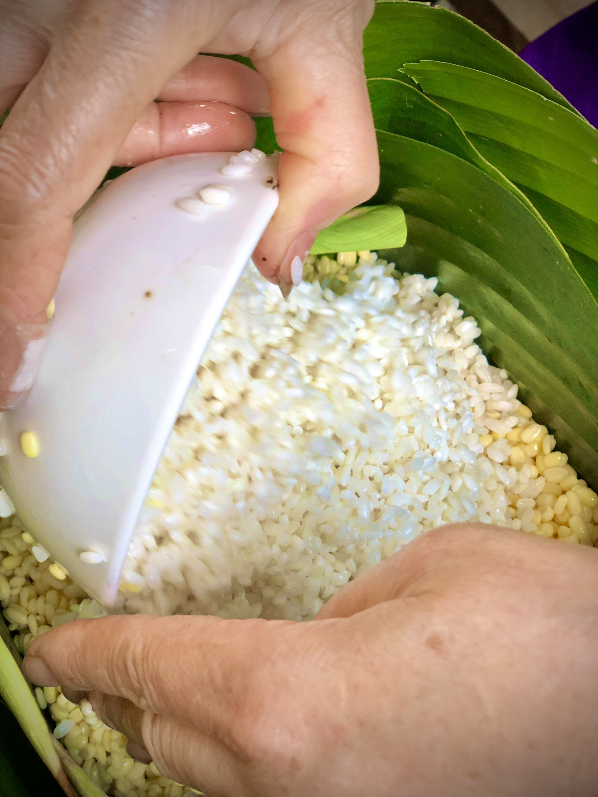 Gạo nếp trắng tinh cùng nhân đỗ xanh, thịt heo ba rọi... là những nguyên liệu để làm nên bánh chưng - chiếc bánh không thể thiếu trong mỗi gia đình vào ngày Tết cổ truyền của dân tộc Việt Nam