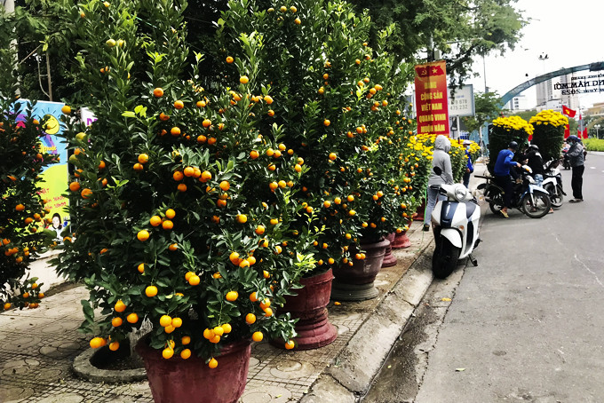 Các loại cây, hoa chưng Tết được bày bán trên đường Thái Nguyên. 