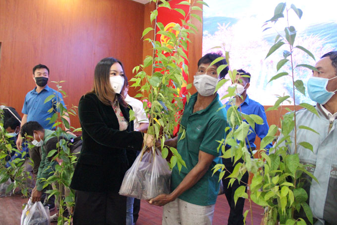 Bà Trần Thị Thanh Hải – Giám đốc Công ty TNHH MTV Hải Yến Nha Trang trao cây cho người dân.