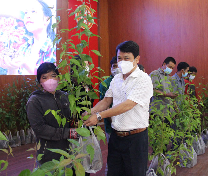Ông Trần Duy Hưng – Tổng Biên tập Báo Khánh Hòa trao cây cho người dân.