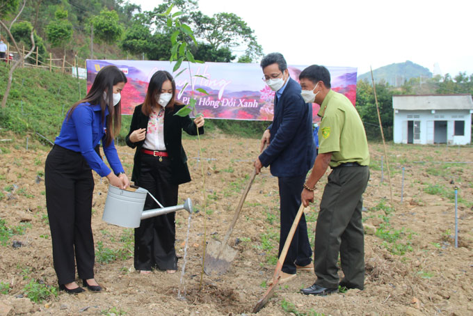 Lãnh đạo Công ty TNHH MTV Hải Yến Nha Trang và đại biểu trồng cây.