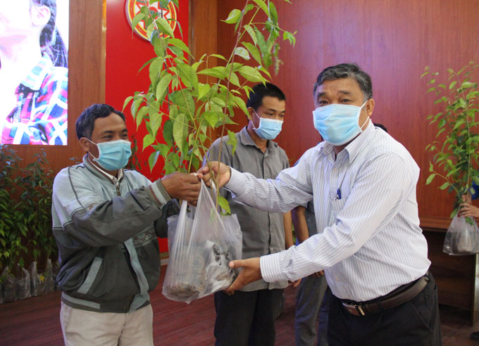 Ông Mấu Thái Cư – Bí thư Huyện ủy Khánh Sơn trao cây giống.
