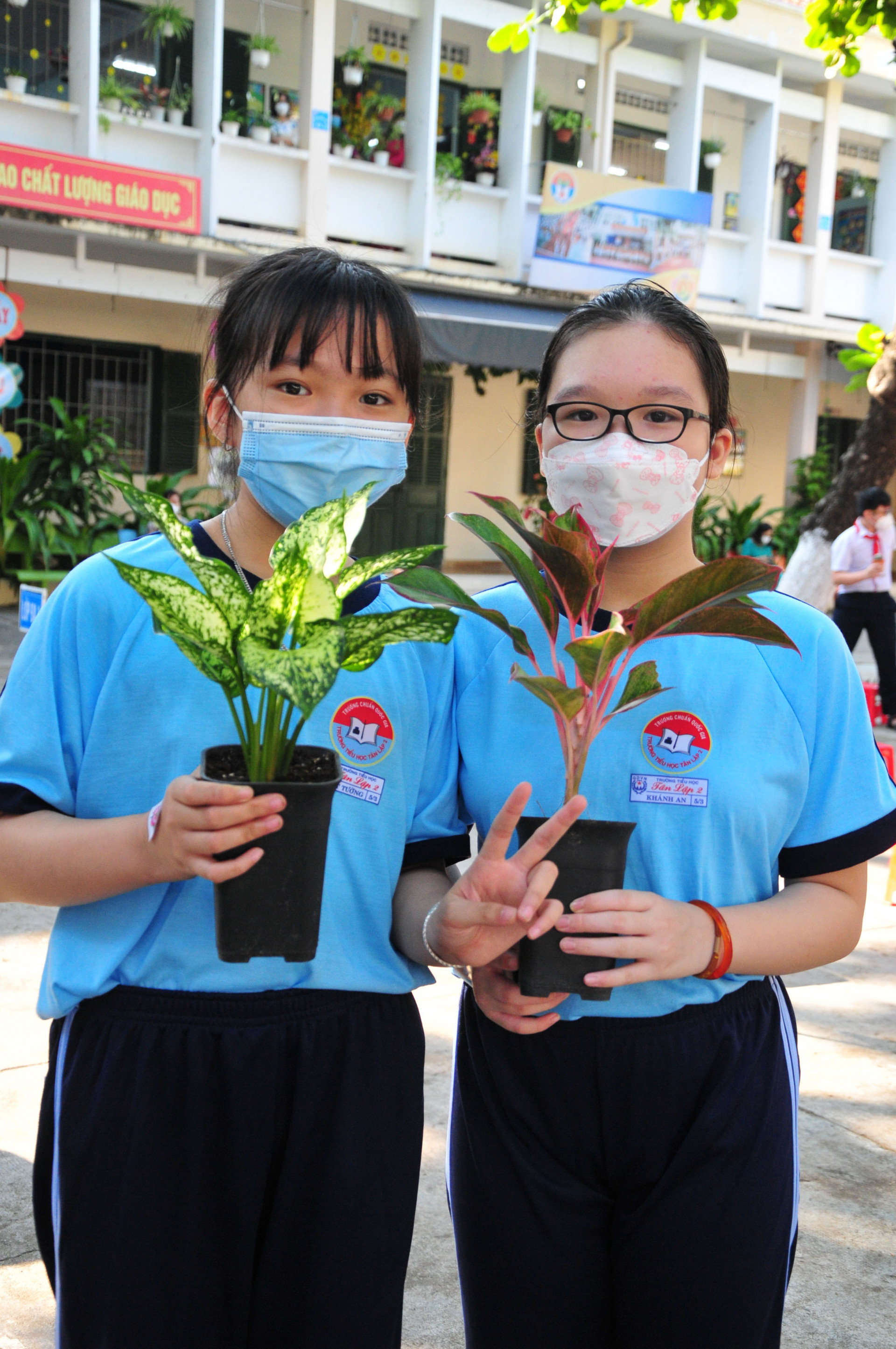 Hai học sinh thích thú với cây xanh vừa đổi được