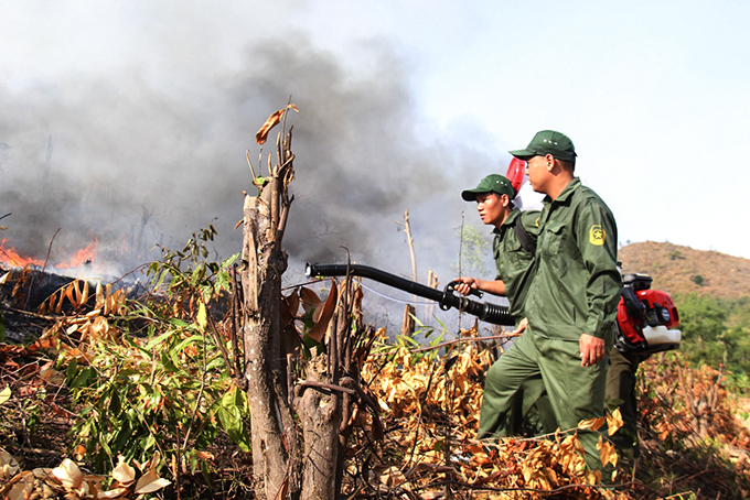 Tăng cường công tác phòng, chống cháy rừng