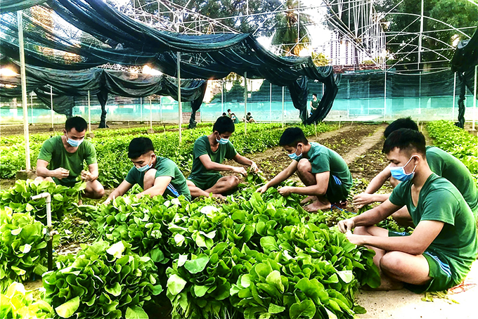 Trường Sĩ quan Thông tin: Đẩy mạnh tăng gia sản xuất