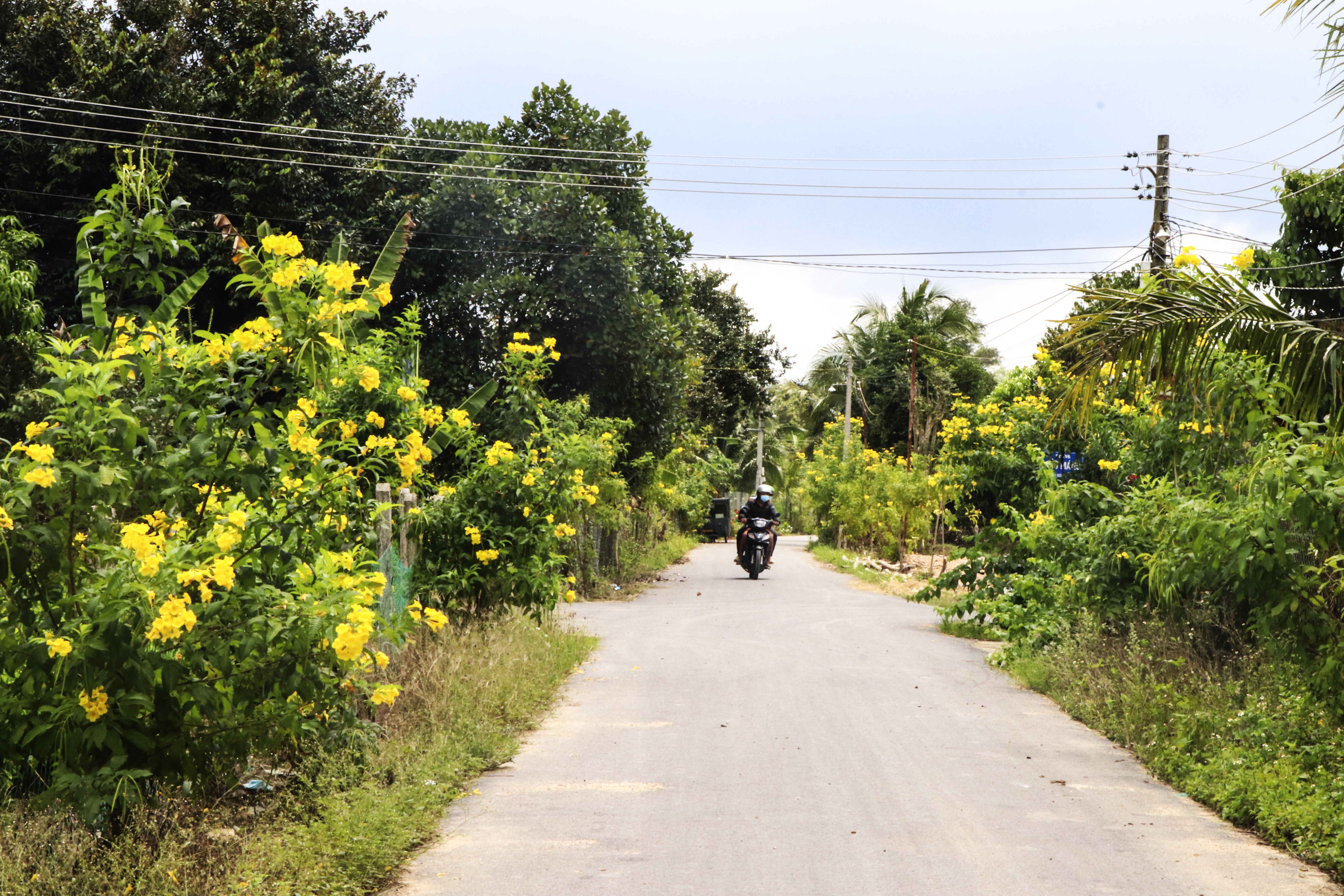 Xã Diên Thọ: Dân vận khéo trong xây dựng nông thôn mới