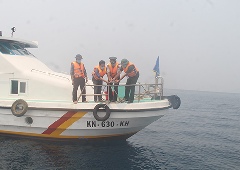 Thả 1 cá thể rùa xanh quý hiếm về tự nhiên