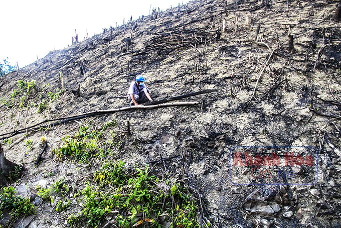 Lấn chiếm đất rừng Xa Pác