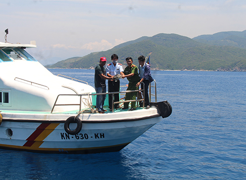 Thả 1 cá thể đồi mồi dứa về tự nhiên