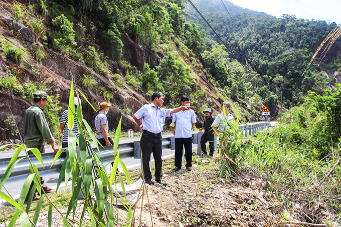Tập trung bảo vệ rừng dọc tuyến đèo Khánh Lê - Lâm Đồng