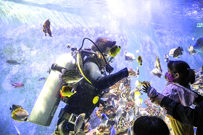 Bảo tàng Hải dương học: Đẩy mạnh truyền thông, giáo dục môi trường