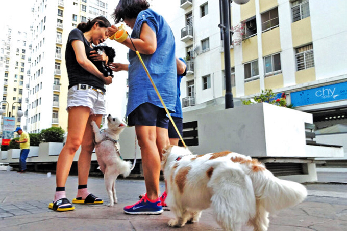 Không đồng tình nuôi chó, mèo trong chung cư