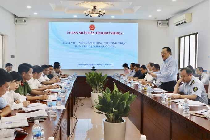 Ông Lê Hữu Hoàng phát biểu tại buổi làm việc với Ban Chỉ đạo 389 quốc gia.