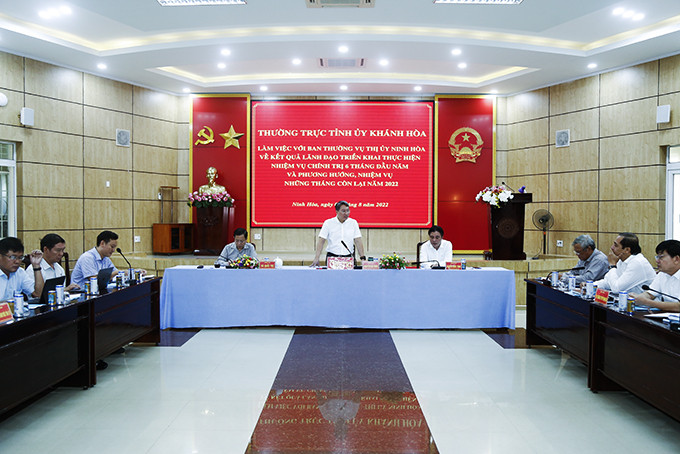 Ông Nguyễn Hải Ninh phát biểu chỉ đạo.