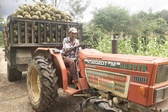 Khánh Sơn miền quả ngọt