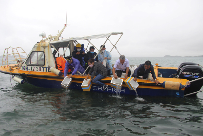 Bảo tồn để phát triển thủy sản bền vững