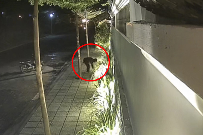 Camera an ninh ghi lại hình ảnh nghi phạm tiếp cận tường nhà bà V. thực hiện hành vi tạt chất bẩn.
