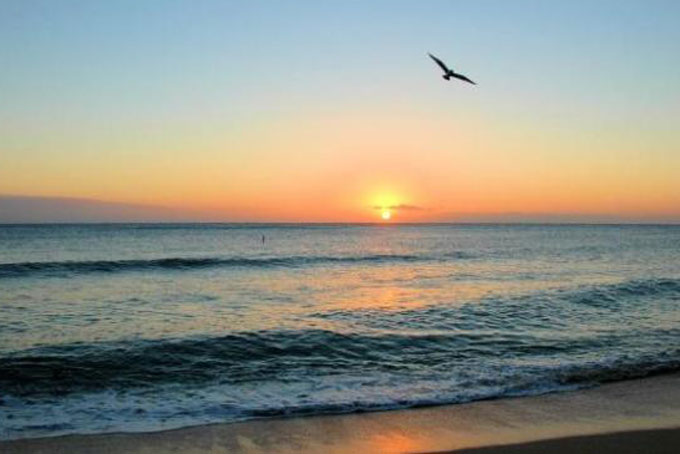 Quay đầu là bờ