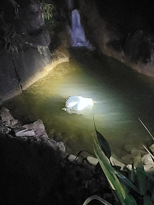 Phát hiện thi thể nam giới đang phân hủy trong bao tải