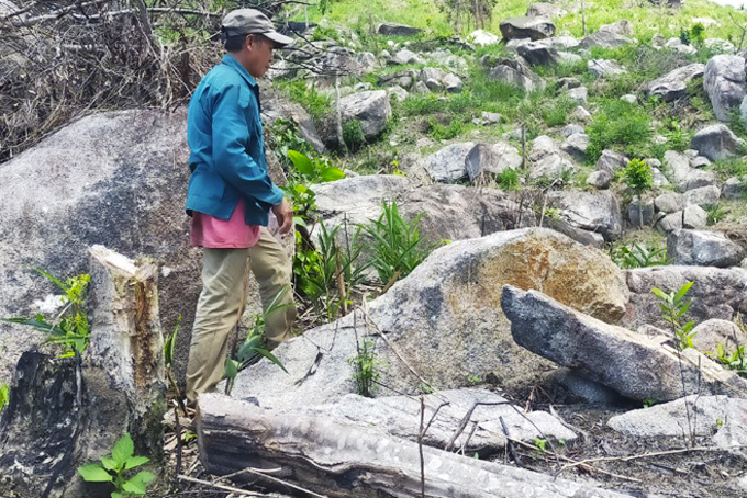 Đất rừng bị lấn chiếm tại Láng Sao: Quyết liệt thu hồi