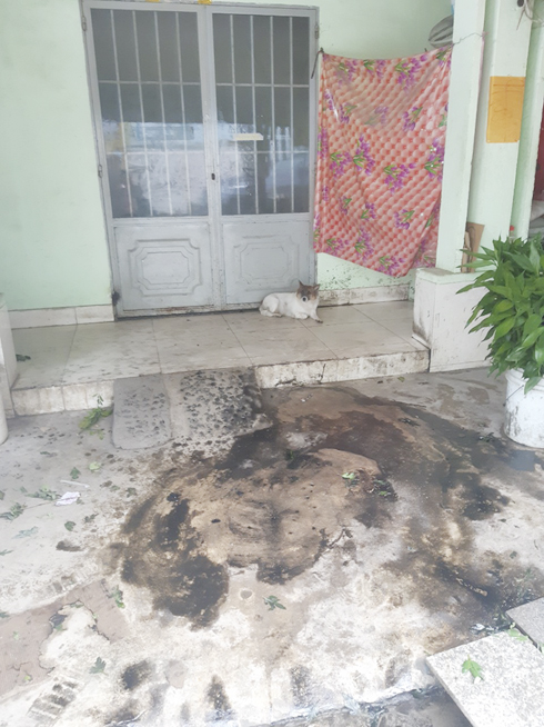 Tạt chất bẩn vào nhà người thân để ép người vay trả tiền