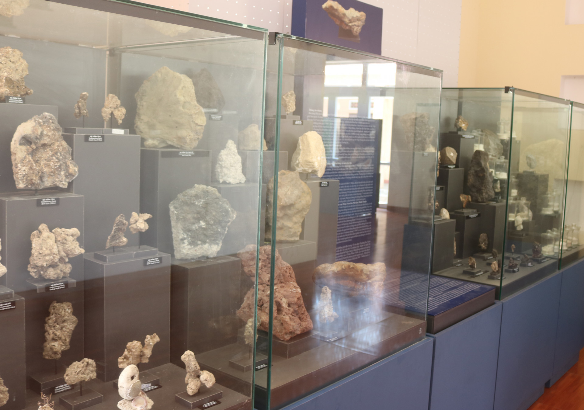 Các mẫu khoáng vật địa chất thu ở vùng biển Trường Sa