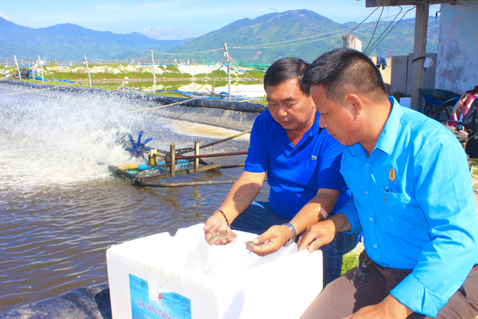 Vạn Ninh: Nỗ lực giảm nghèo