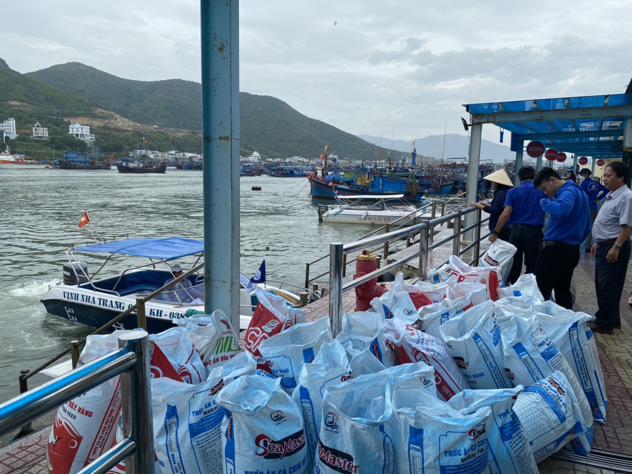 4.000 con cá giống được tập kết tại Bến tàu du lịch Nha Trang.