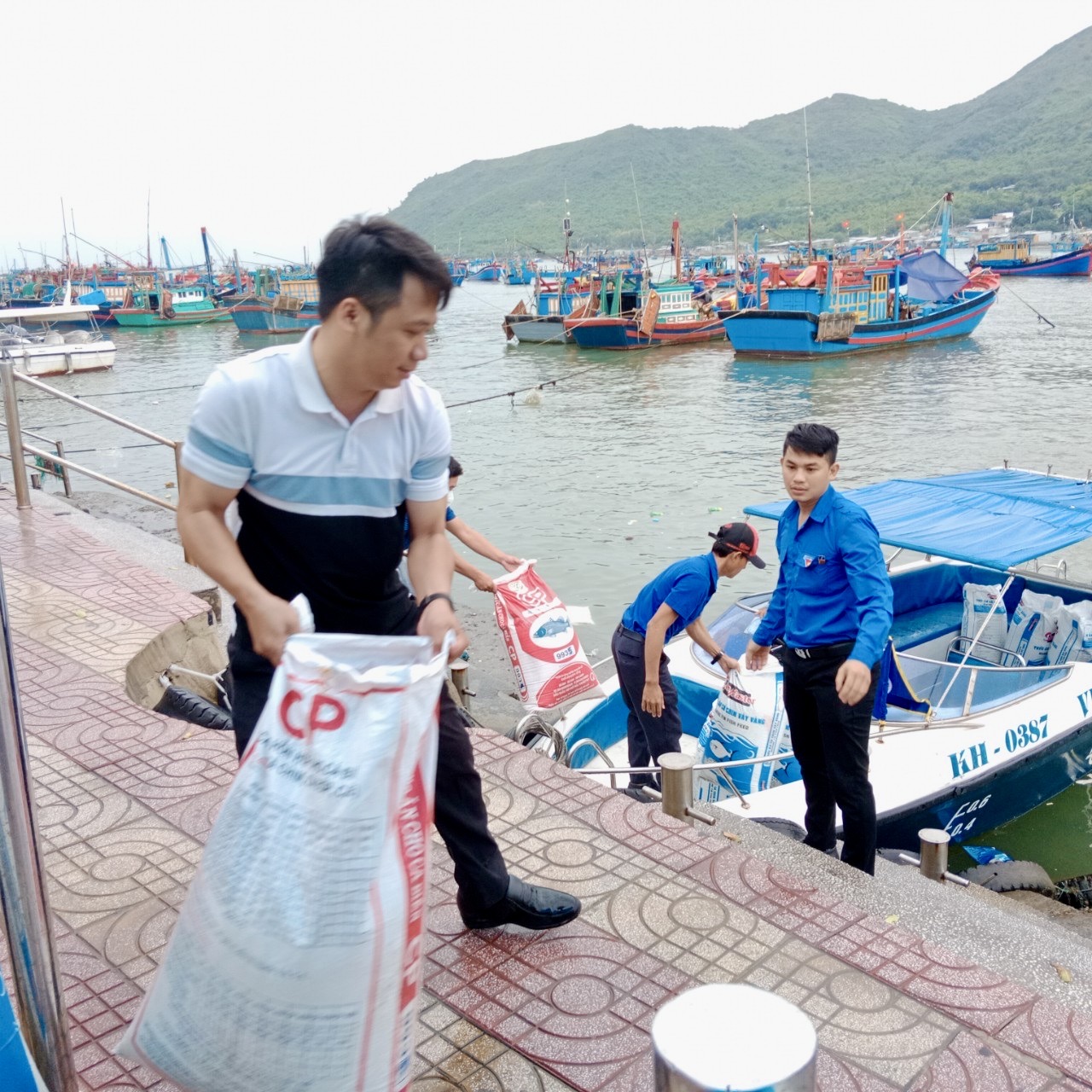  Cá giống được vận chuyển lên ca nô để đưa ra vịnh Nha Trang.