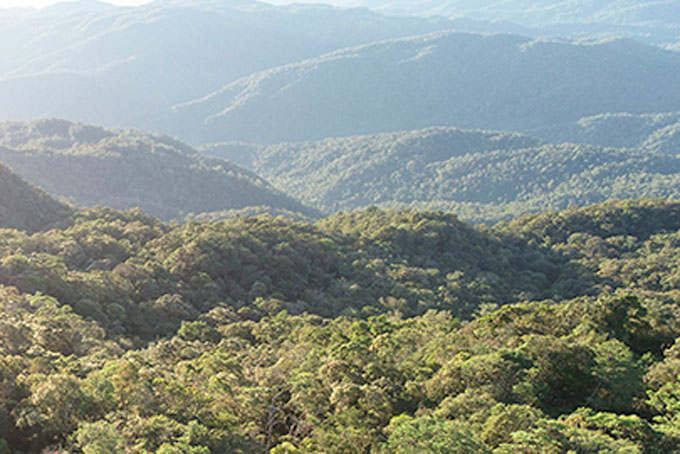Ban Quản lý Khu bảo tồn thiên nhiên Hòn Bà: Thực hiện hơn 290 đợt tuần tra, bảo vệ rừng