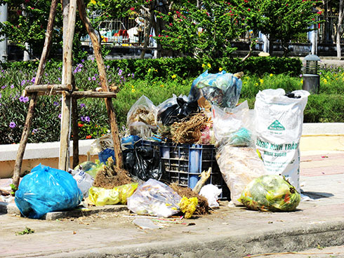 Nha Trang: Tăng cường kiểm tra, xử lý hành vi đổ rác không đúng thời gian, địa điểm quy định