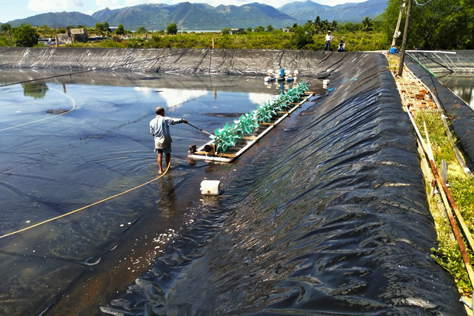 Kinh nghiệm hay về xử lý môi trường nuôi tôm