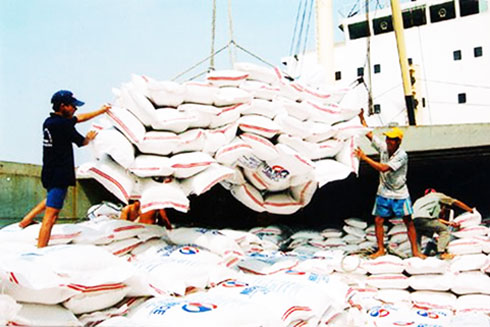 Xuất khẩu gạo tăng cao kỷ lục